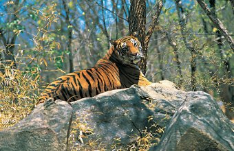 Bangladéš (Expedition)