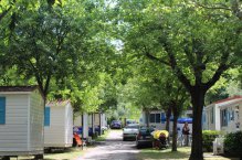 Camping Cisano San Vito - Itálie - Lago di Garda - Bardolino