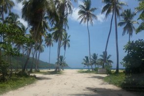 Bavaro Green - Dominikánská republika - Punta Cana  - Cabeza de Toro