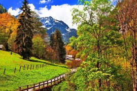 Bavorské Alpy a Bodamské jezero a květinový ostrov Mainau