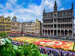 Belgický květinový koberec na náměstí z balkónu