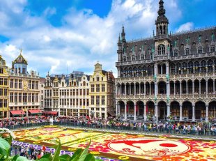 Belgie: květinový Koberec a Brusel