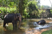 Best of Sri Lanka - Srí Lanka