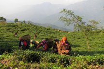 Bhútán, Sikkim, Dardžiling, Nepál - Nepál