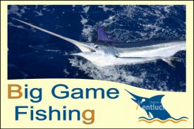 Recenze Big Game Fishing