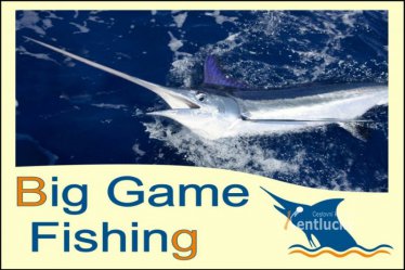 Big Game Fishing