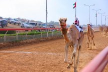 BIN MAJID TOWER HOTEL APARTMENT - Spojené arabské emiráty - Abú Dhábí