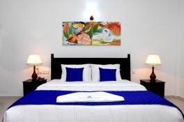 Blue Spring Hotel - Srí Lanka - Wadduwa 