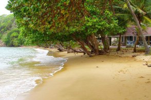 Blue Waters Inn Hotel - Trinidad a Tobago - Tobago - Batteaux Bay