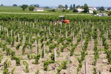 Bordeaux, víno St. Emilion a duna Pyla s koupáním - Francie - Bordeaux