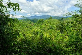 BORNEO, ZA ZVÍŘATY SARAWAKU A SABAHU - Malajsie - Borneo