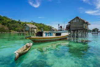 BORNEO, ZA ZVÍŘATY SARAWAKU A SABAHU - Malajsie - Borneo