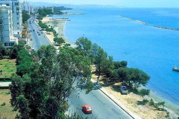 Boronia - Kypr - Larnaka