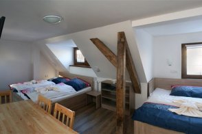 Apartmány Stein - Česká republika - Krušné hory a Podkrušnohoří - Boží Dar