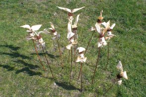 Budapešť, lázně a Velikonoce ve skanzenu Szentendre - Maďarsko