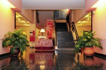 Buganvília - Portugalsko - Madeira  - Funchal