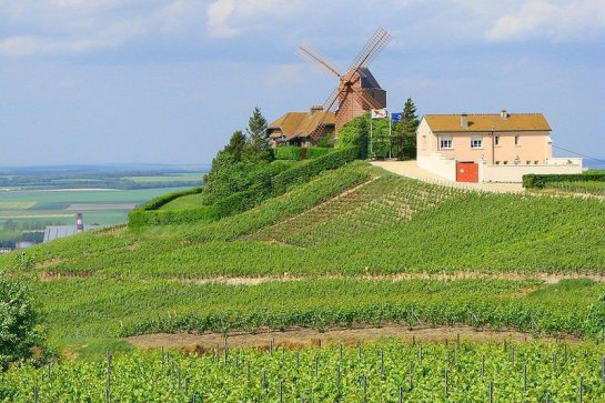 Burgundsko a Champagne - víno a katedrály - Francie