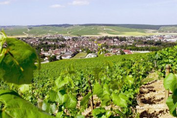 Burgundsko a Champagne - Francie