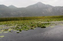 Černá Hora, národní parky a moře - Černá Hora
