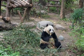 Cesta tibetskými oblastmi západní Číny - Tibet