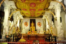 Ceylon City Hotel - Srí Lanka - Colombo