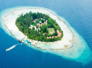 CHAAYA REEF ELLAIDHOO