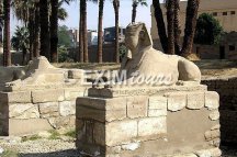 CHEOPS 4 - Egypt