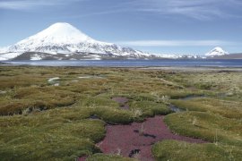 Chile, Bolívie s možností prodloužení na Velikonoční ostrov