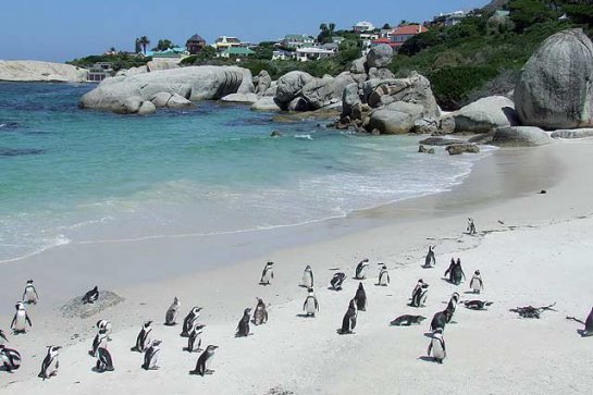 Chile - Falklandy - Chile