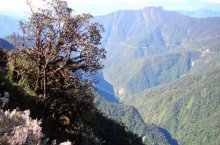 Chile, Peru, Bolívie - Bolívie