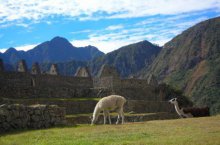 Chile, Peru, Bolívie - Bolívie