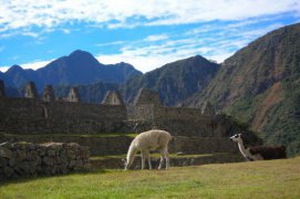 Chile, Peru, Bolívie - Chile