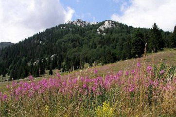 Chorvatsko, národní parky - Chorvatsko