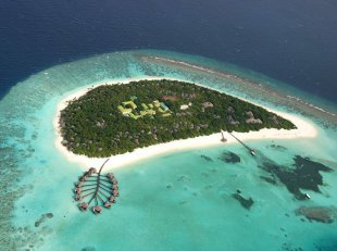 Coco Palm Dhuni Kolhu