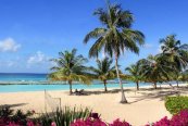 Coconut Court Beach Hotel - Barbados - Hastings