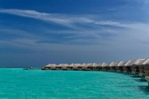 Cocoon Maldives Resort - Maledivy - Atol Lhaviyani 