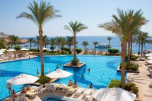CONTINENTAL GARDEN REEF - Egypt - Sharm El Sheikh - El Pasha Bay