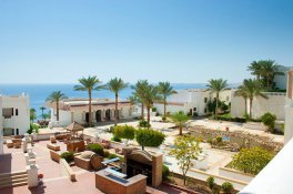 CONTINENTAL GARDEN REEF - Egypt - Sharm El Sheikh - El Pasha Bay