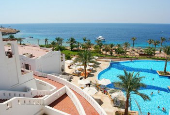 CONTINENTAL GARDEN REEF - Egypt - Sharm El Sheikh - El Pasha Bay