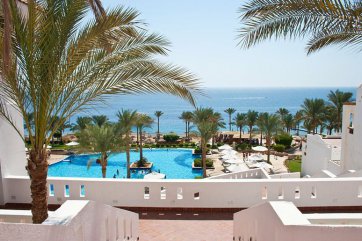 CONTINENTAL GARDEN REEF - Egypt - Sharm El Sheikh - El Pasha Bay