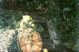 Cornwall, jižní Anglie letecky - Velká Británie - Anglie