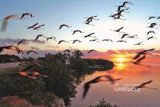 Cuba Autentica - poznávací okruh Kubou - Kuba - Havana