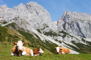 Dachstein turisticky - Rakousko
