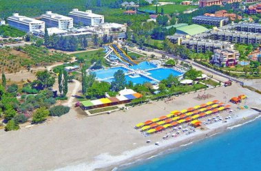 DAIMA BIZ