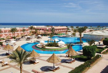 DESSOLE ALEXANDER THE GREAT - Egypt - Marsa Alam