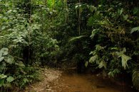 Deštný prales a památky Peru - Peru