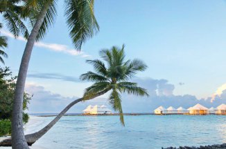 Diamonds Athuruga Beach & Water Villas - Maledivy - Atol Severní Ari