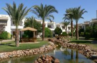 DIVE INN - Egypt - Sharm El Sheikh - Ras Om El Sid