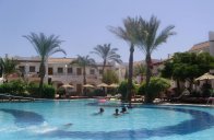 DIVE INN - Egypt - Sharm El Sheikh - Ras Om El Sid