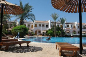 DIVE INN - Egypt - Sharm El Sheikh - Ras Om El Sid